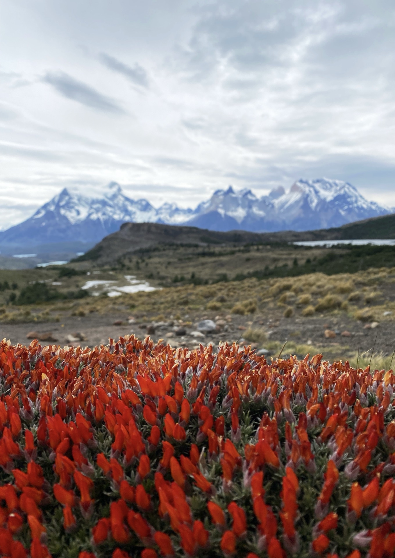 Patagonia